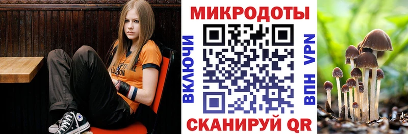 Псилоцибиновые грибы MAGIC MUSHROOMS  где купить наркоту  KRAKEN ссылка  Старый Крым 